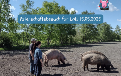 Patenbesuch für Loki am 15.05.2025