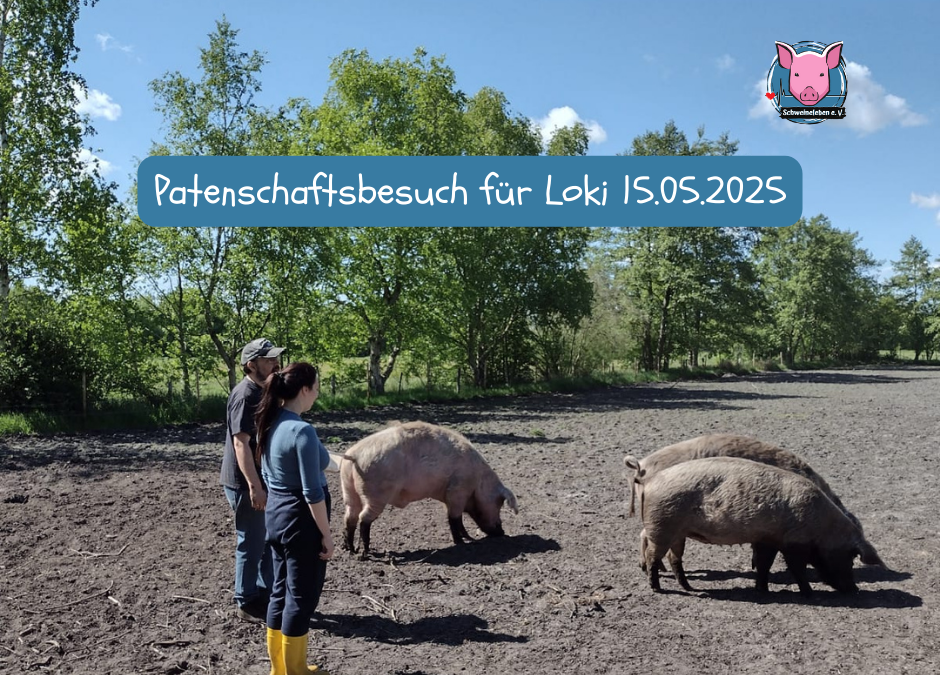 Patenbesuch für Loki, Maria und Lukas