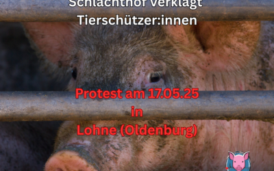 Solidarität mit Tierschutzaktivist*innen vor dem Schlachthof Brand