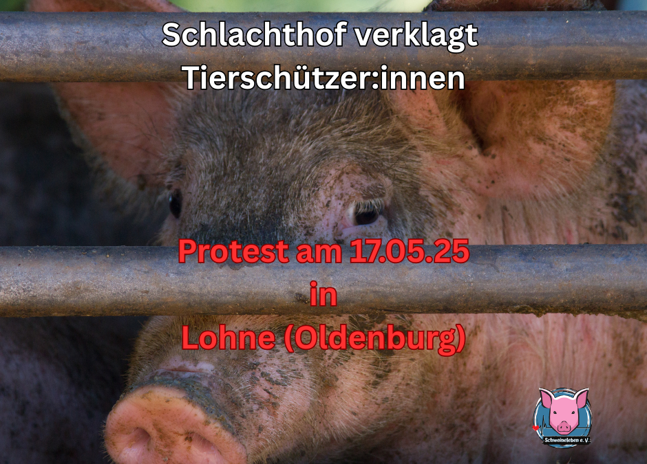 Solidarität mit Tierschutzaktivist*innen vor dem Schlachthof Brand