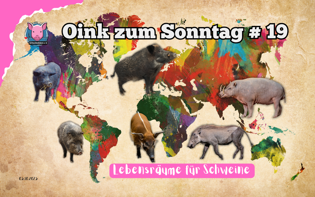 Lebensräume für Schweine in freier Wildbahn