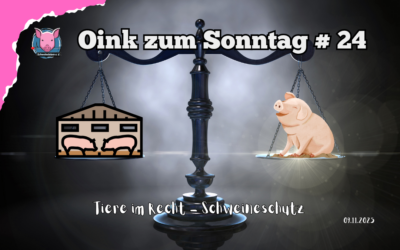 # 24 Oink zum Sonntag – Schweine und Gesetze