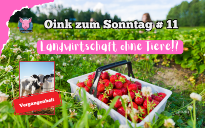# 11 Oink zum Sonntag – Landwirtschaft ohne Tiere