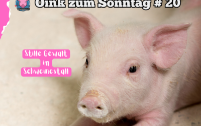 # 20 Oink zum Sonntag – Stille Gewalt im Schweinestall
