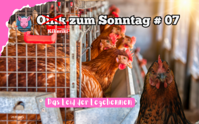 # 07 Oink zum Sonntag – Das Leid der Legehennen