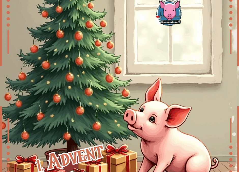 Lilos erstes Weihnachten