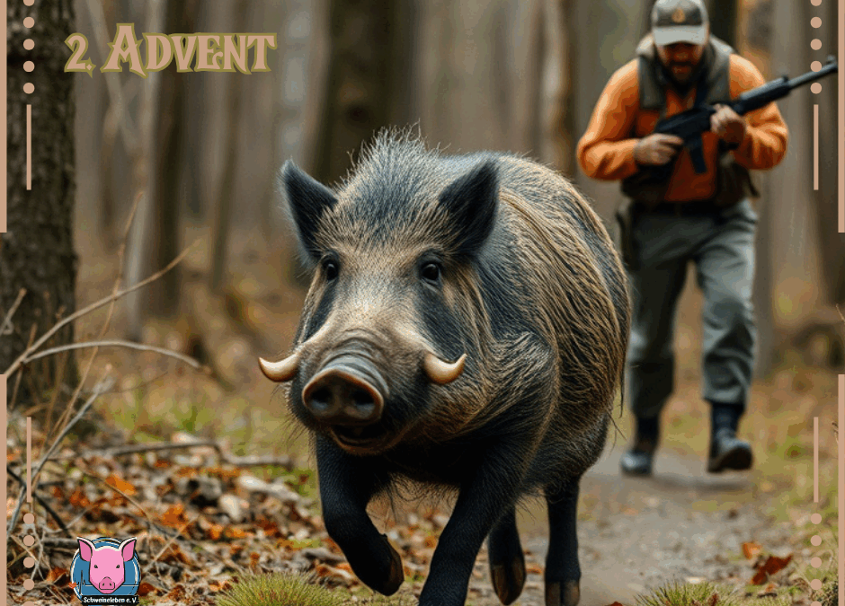 Silvlan - das Wildschwein, das leben wollte