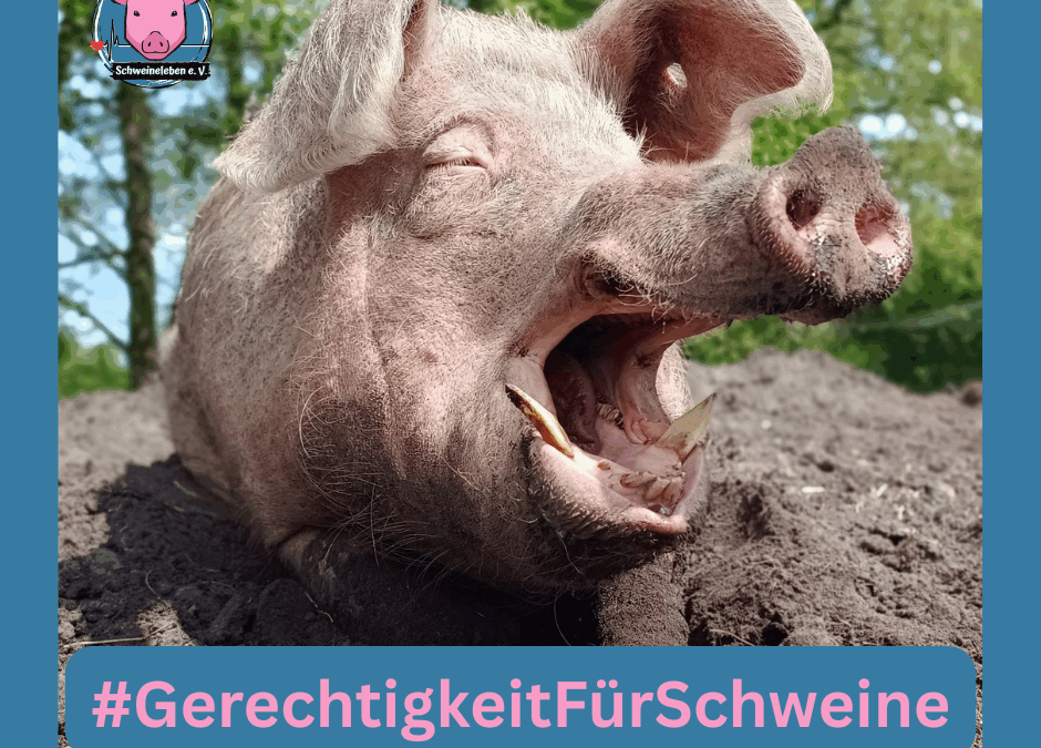 Gerechtigkeit für Schweine - Demo Karlsruhe