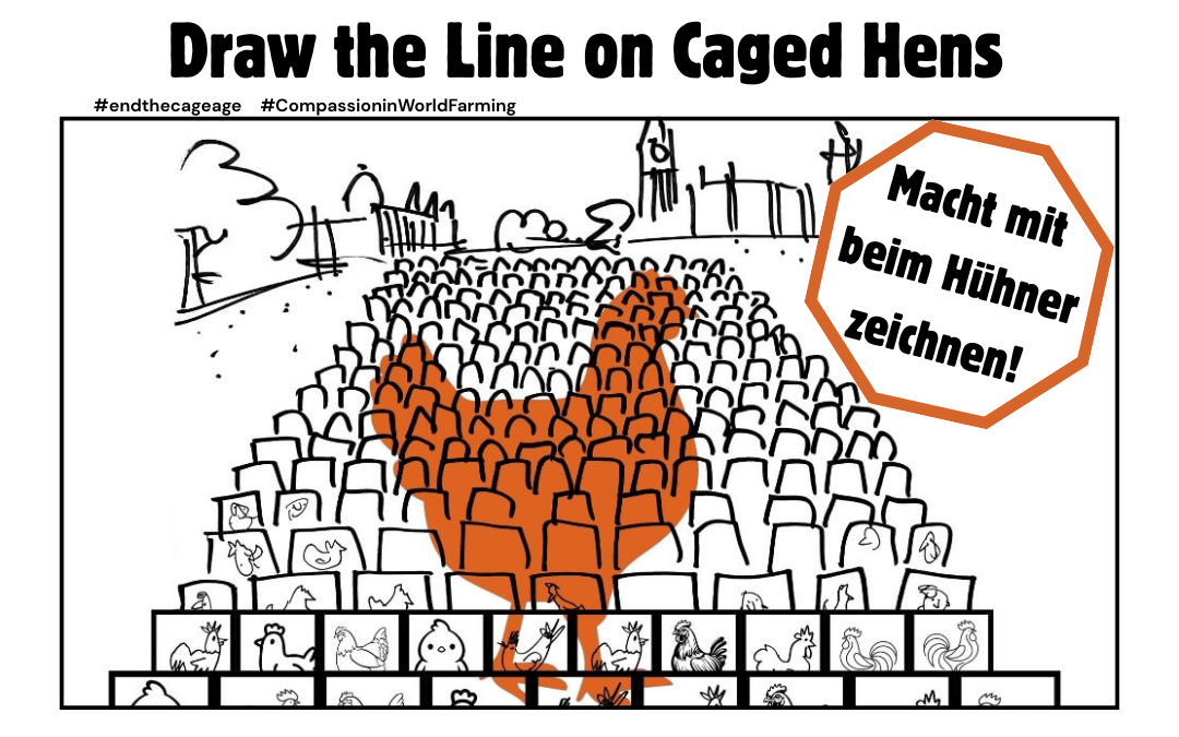 Zieh die Linie für Hennen, Compassion in World Farming
