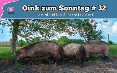 # 32 Oink zum Sonntag – Tierschutz mit Rüssel, Herz und Verstand