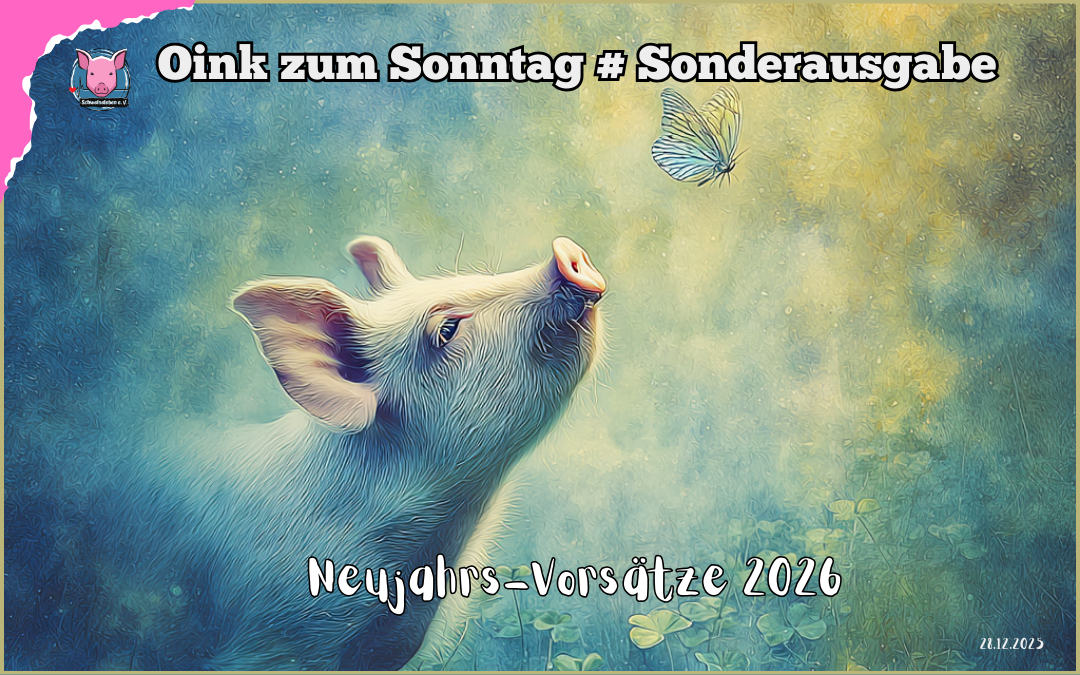 Sonderausgabe Oink zum Sonntag - Neujahrs-Vorsätze