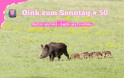 # 50 Oink zum Sonntag – Von Bachen und Frischlingen