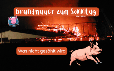 Brandmauer zum Sonntag – Was nicht gezählt wird