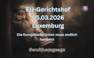 Historischer Moment für den Tierschutz: Tierrechtler ziehen vor den EuGH!
