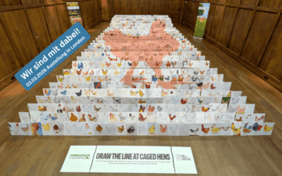 Draw the line on cage hens – Ausstellung in London 03.03.26 – Wir sind dabei