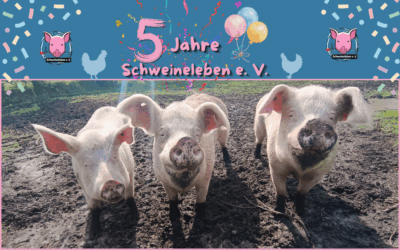 5 Jahre Schweineleben e. V. – 13.04.2026