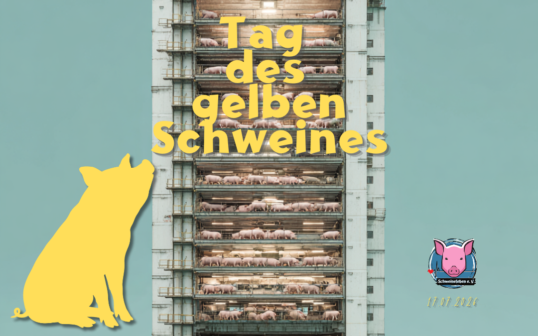 Tag des gelben Schweines - Yellow Pig Day